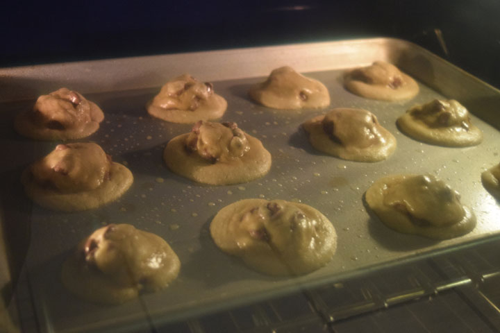 15-12-24 Chocolate Chip 2