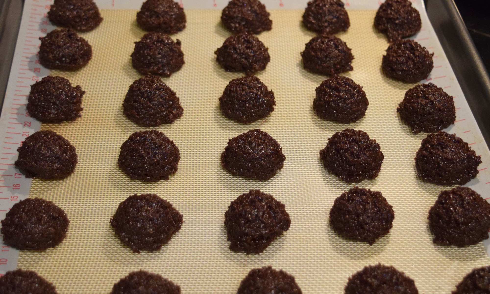 Dark Chocolate Coconut Macaroons