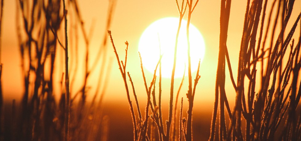 Photo by Jeremy Bishop on Unsplash