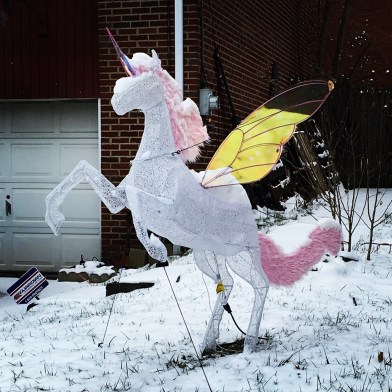 Digital nomad - unicorn in the snow in Pittsburgh