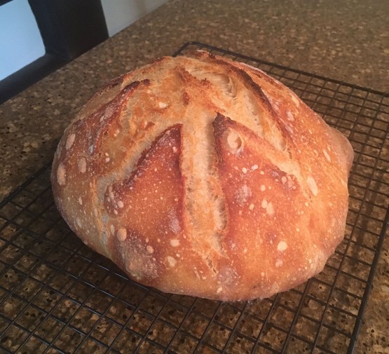 first sourdough boule